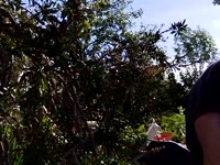 Bel homme te raconte ses aventures , oses decouvrir les plaisirs que procurent les moments sexuels avec moi.pouvons communiquer en francais et anglais.entrer dans l