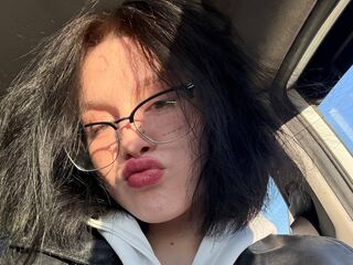 teaser webcam LaniCros